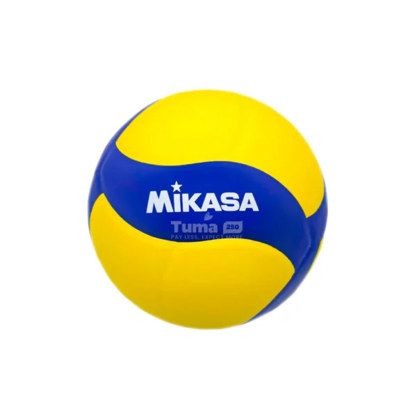 Mikasa Professional Indoor Volleyball