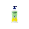 Care Dr Clean Ice Fresh With Glycerin Hand Soap